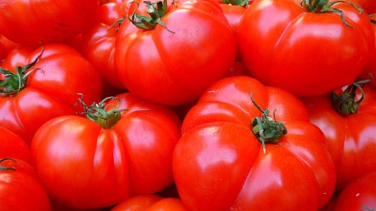 Pomodori