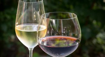 Vino sui capelli: ti spiego perché dovresti usarlo sin da subito, i miracoli sono davvero possibili!