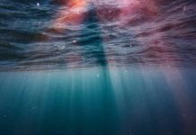 Scoperta sconvolgente sotto ai mari
