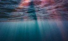 Scoperta sconvolgente sotto ai mari