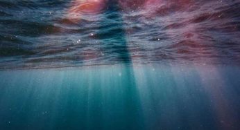 Sconvolgente scoperta sotto i mari | È quello che si è sempre cercato?