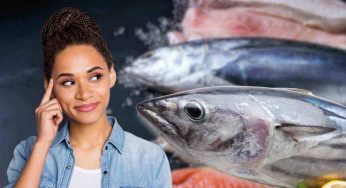 Ecco perché è impossibile comprare tonno vivo | Non fatevi ingannare