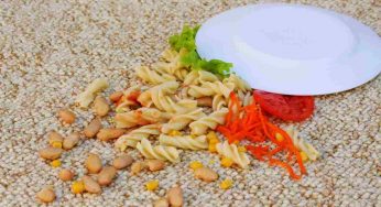 Si può mangiare il cibo caduto a terra? Forse non hai mai sentito parlare della famosa “regola”