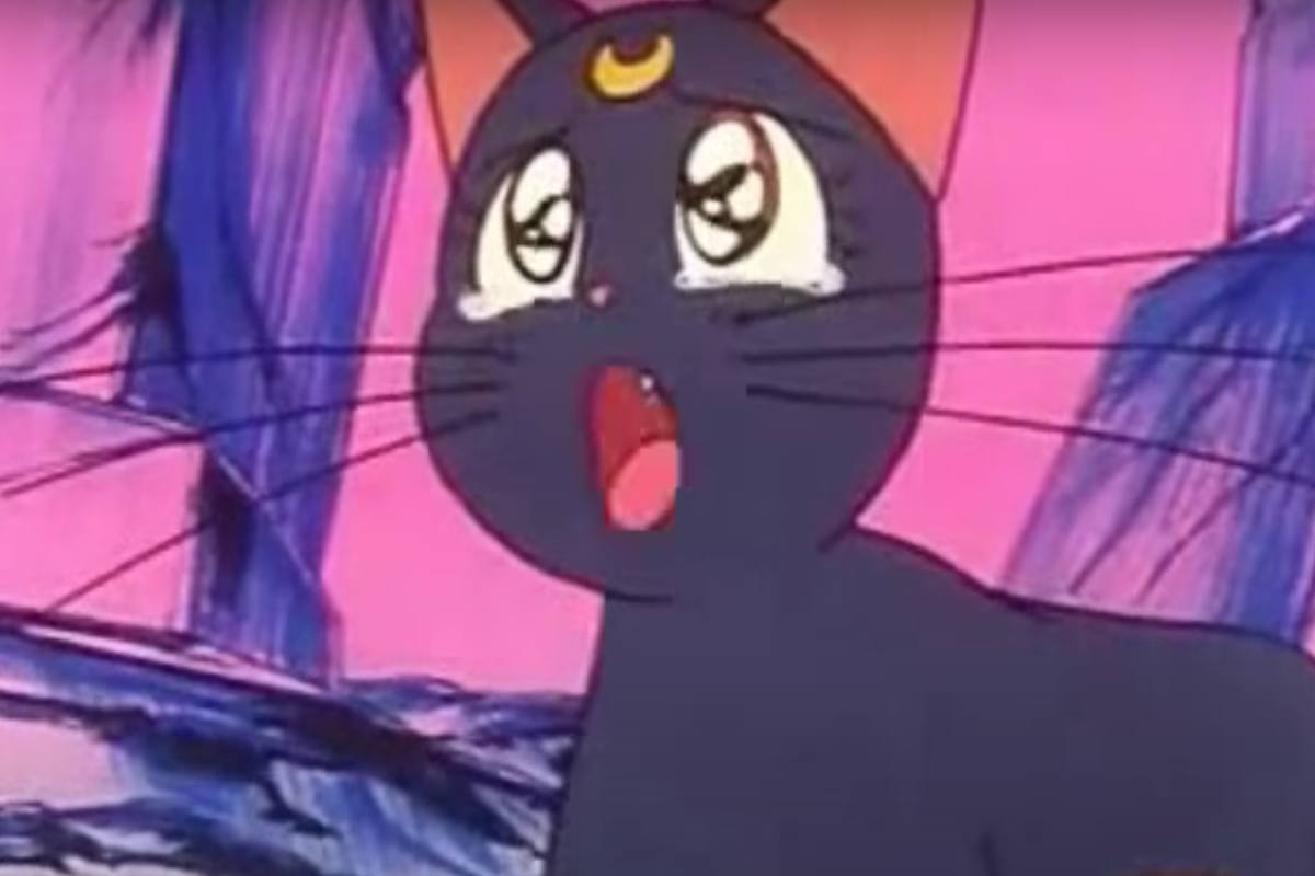 Luna, l'animale presente in Sailor Moon