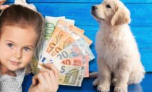 Golden Retriever quanto costa adatto bambini